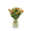 Kytice  tulipánů